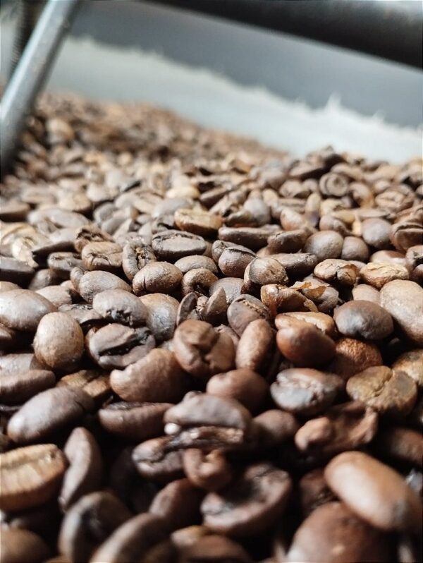 Café Coruja Bourbon em Grãos 1kg